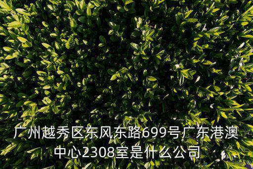 廣州越秀區東風東路699號廣東港澳中心2308室是什么公司