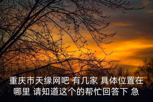重慶市天緣網吧 有幾家 具體位置在哪里 請知道這個的幫忙回答下 急