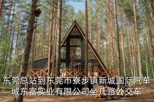 東莞總站到東莞市寮步鎮新城國際汽車城東富實業有限公司坐幾路公交車