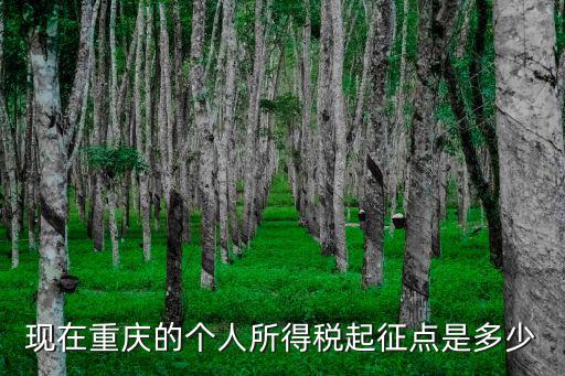現在重慶的個人所得稅起征點是多少