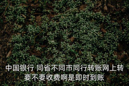 中國(guó)銀行 同省不同市同行轉(zhuǎn)賬網(wǎng)上轉(zhuǎn)要不要收費(fèi)啊是即時(shí)到賬