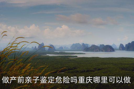 做產(chǎn)前親子鑒定危險嗎重慶哪里可以做