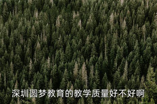 深圳圓夢教育的教學(xué)質(zhì)量好不好啊