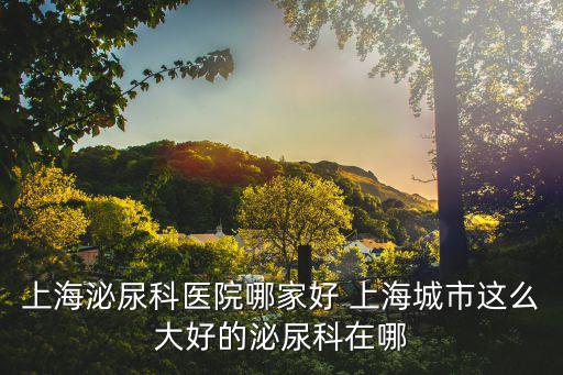 上海泌尿科醫(yī)院哪家好 上海城市這么大好的泌尿科在哪
