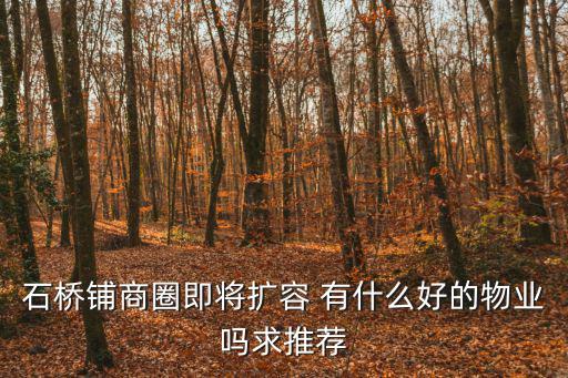 石橋鋪商圈即將擴容 有什么好的物業嗎求推薦