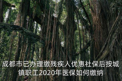 成都市已辦理繳殘疾人優(yōu)惠社保后按城鎮(zhèn)職工2020年醫(yī)保如何繳納