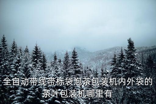 全自動帶線帶標袋泡茶包裝機內外袋的茶葉包裝機哪里有