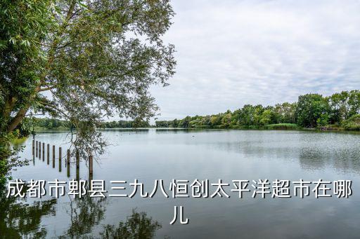 成都市郫縣三九八恒創(chuàng)太平洋超市在哪兒