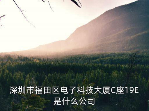 深圳市福田區電子科技大廈C座19E是什么公司