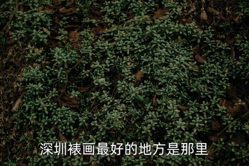 深圳裱畫最好的地方是那里