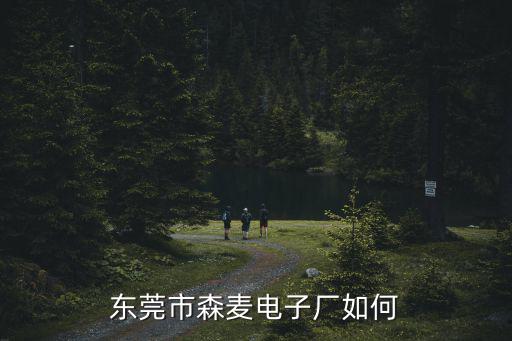 東莞森麥電子，東莞東坑什么電子廠最大 聽說有個3W人左右的 那個廠叫什么