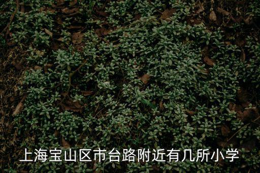 上海寶山區市臺路附近有幾所小學