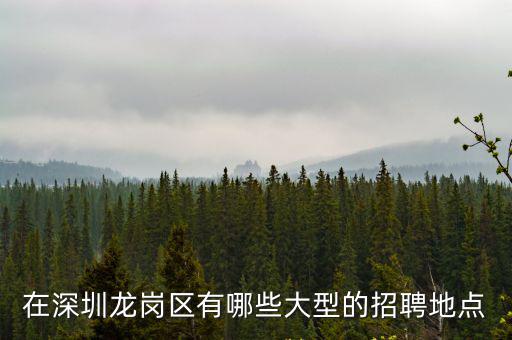 在深圳龍崗區有哪些大型的招聘地點