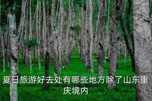 夏日旅游好去處有哪些地方除了山東重慶境內