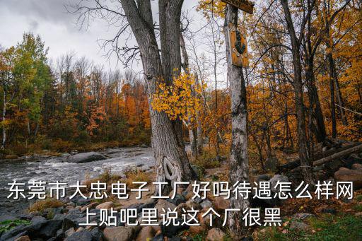 東莞市大忠電子工廠好嗎待遇怎么樣網上貼吧里說這個廠很黑