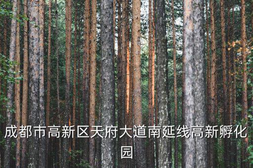 成都市高新區(qū)天府大道南延線(xiàn)高新孵化園