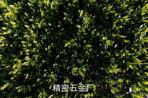 東莞聯策精密五金有限公司，精密五金模具加工廠哪里比較多