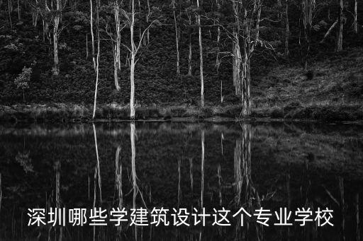 深圳哪些學建筑設計這個專業學校