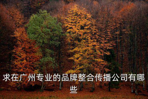 求在廣州專業的品牌整合傳播公司有哪些