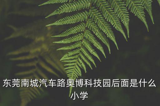 東莞南城汽車路奧博科技園后面是什么小學