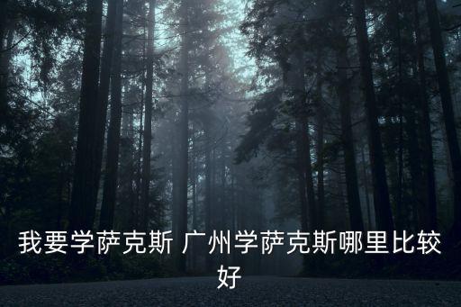 廣州學薩克斯，廣州哪里學薩克斯好最好在天河區內另外哪里買薩克斯比較有保障