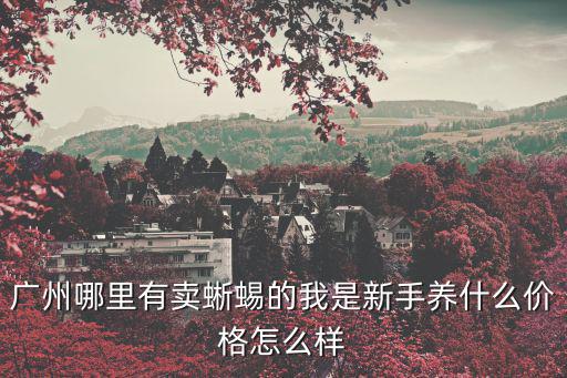廣州那里有守宮購買，網上哪里買得到角蛙