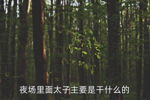 夜場里面太子主要是干什么的