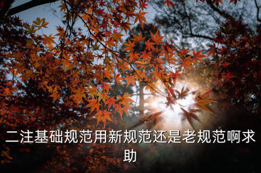 上海市地基處理技術規(guī)范，二注基礎規(guī)范用新規(guī)范還是老規(guī)范啊求助