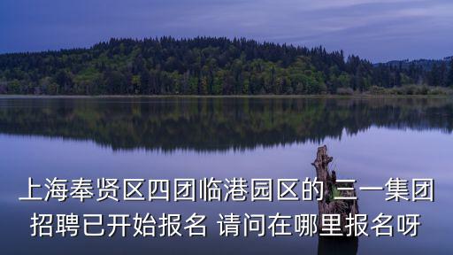 上海市奉賢區(qū)四團(tuán)招聘信息，上海奉賢四團(tuán)