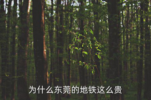 為什么東莞的地鐵這么貴