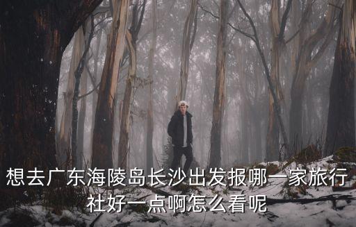 想去廣東海陵島長(zhǎng)沙出發(fā)報(bào)哪一家旅行社好一點(diǎn)啊怎么看呢