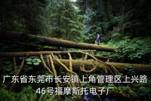 廣東省東莞市長安鎮上角管理區上興路46號福摩斯托電子廠