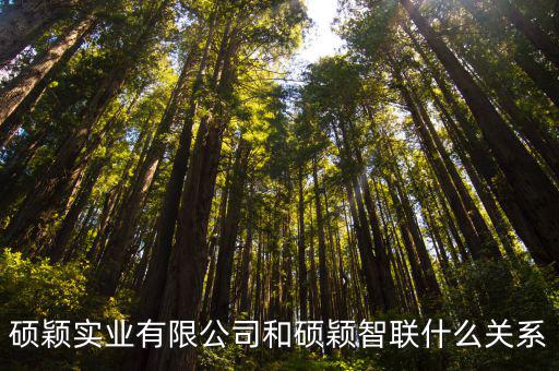 碩穎實業有限公司和碩穎智聯什么關系
