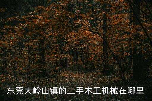 東莞大嶺山鎮的二手木工機械在哪里