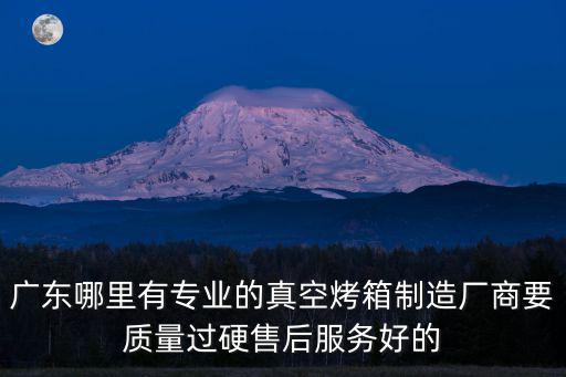 廣東哪里有專業的真空烤箱制造廠商要質量過硬售后服務好的