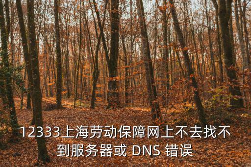 12333上海勞動保障網上不去找不到服務器或 DNS 錯誤