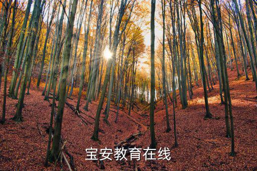 寶安教育在線