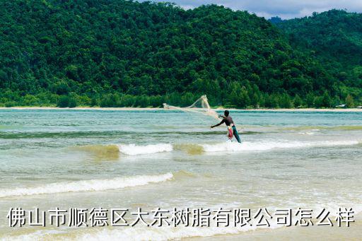 佛山市順德區(qū)大東樹脂有限公司怎么樣