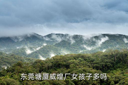 東莞塘廈威煌廠女孩子多嗎