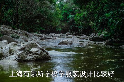 上海有哪所學校學服裝設計比較好