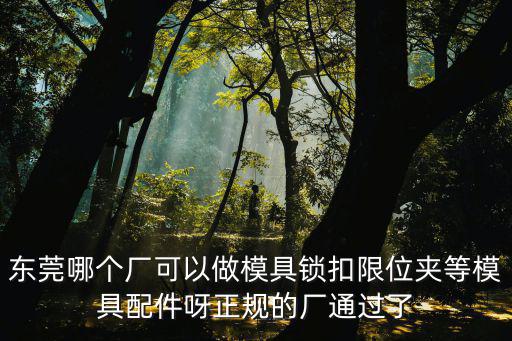 東莞哪個廠可以做模具鎖扣限位夾等模具配件呀正規(guī)的廠通過了
