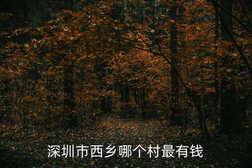 深圳市西鄉哪個村最有錢