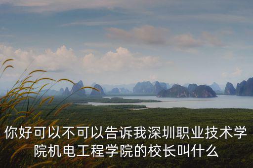 你好可以不可以告訴我深圳職業技術學院機電工程學院的校長叫什么