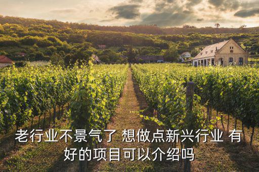 老行業(yè)不景氣了 想做點(diǎn)新興行業(yè) 有好的項(xiàng)目可以介紹嗎