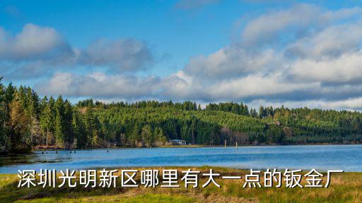 深圳光明新區哪里有大一點的鈑金廠