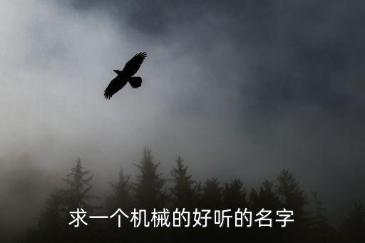 求一個機械的好聽的名字