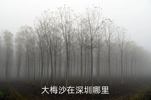 大梅沙在深圳哪里