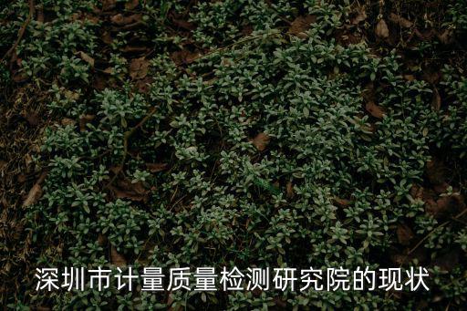 深圳市計量質量檢測研究院的現(xiàn)狀