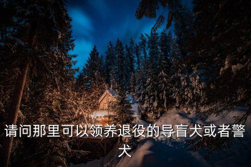 請問那里可以領(lǐng)養(yǎng)退役的導(dǎo)盲犬或者警犬