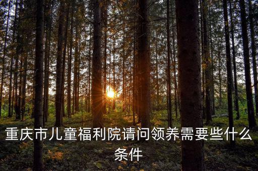 重慶市孤兒院領養，重慶市兒童福利院請問領養需要些什么條件